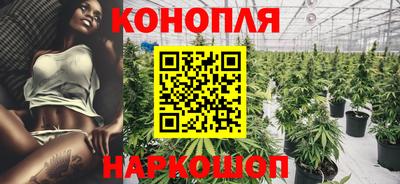 трава Нальчик