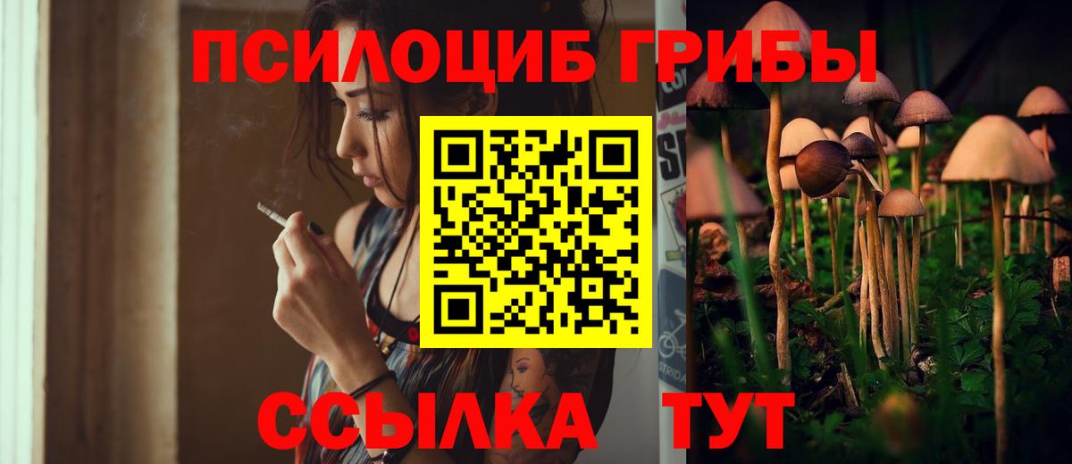 Чистополь  Псилоцибиновые грибы ЛСД  Галлюциногенные грибы Cubensis  Вход с VPN 